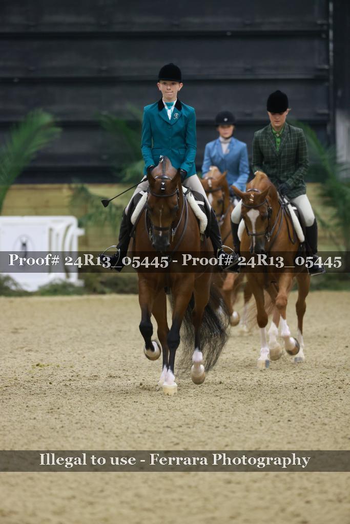 Proof Number 24R13_05445