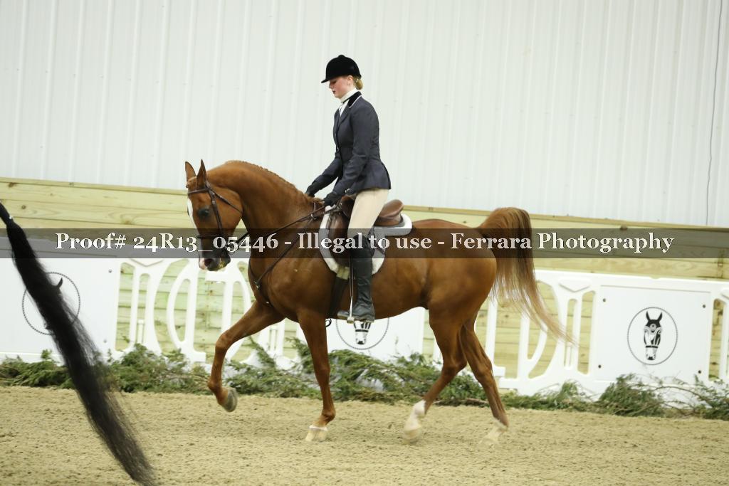 Proof Number 24R13_05446