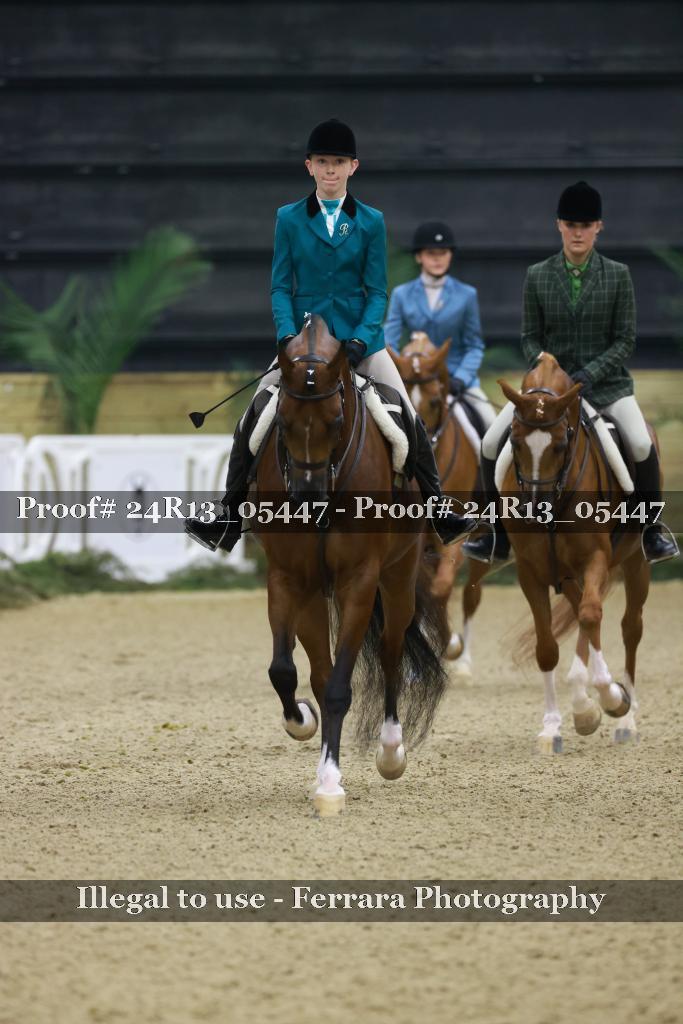 Proof Number 24R13_05447