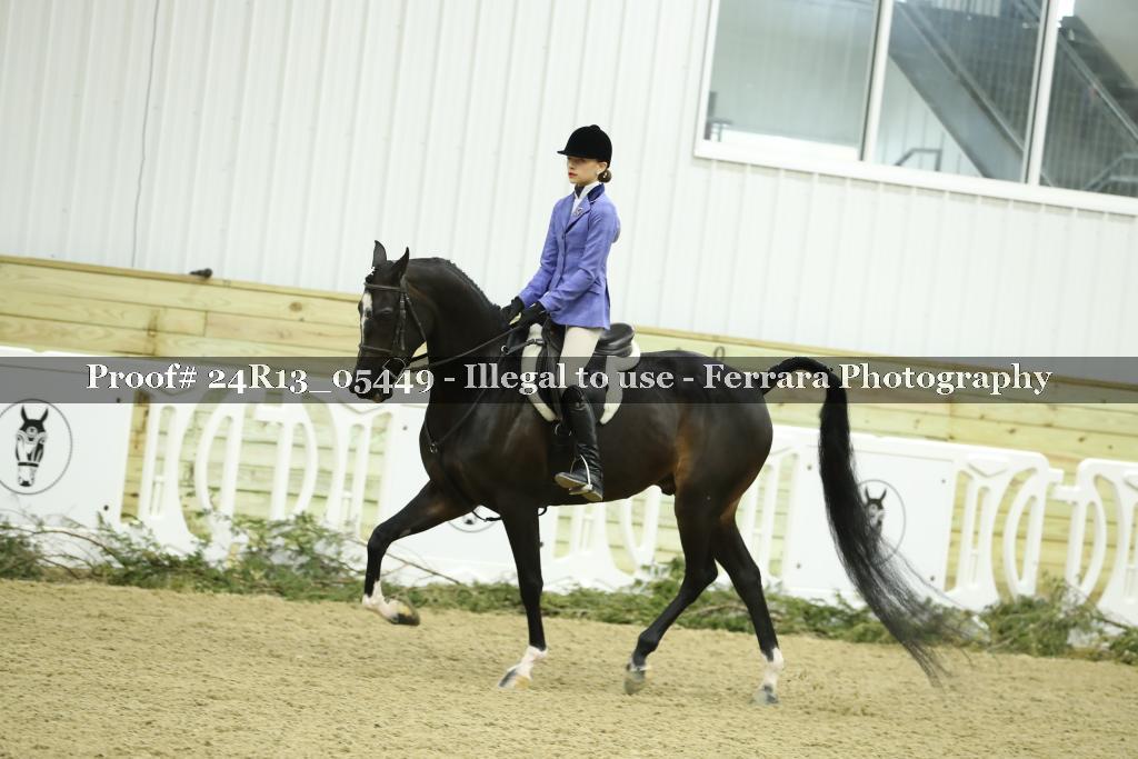 Proof Number 24R13_05449
