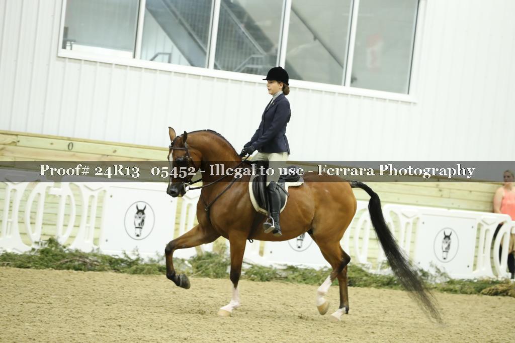 Proof Number 24R13_05452