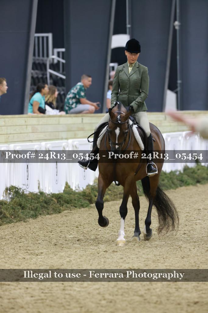 Proof Number 24R13_05454