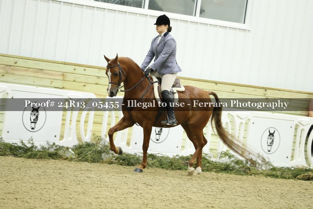 Proof Number 24R13_05455