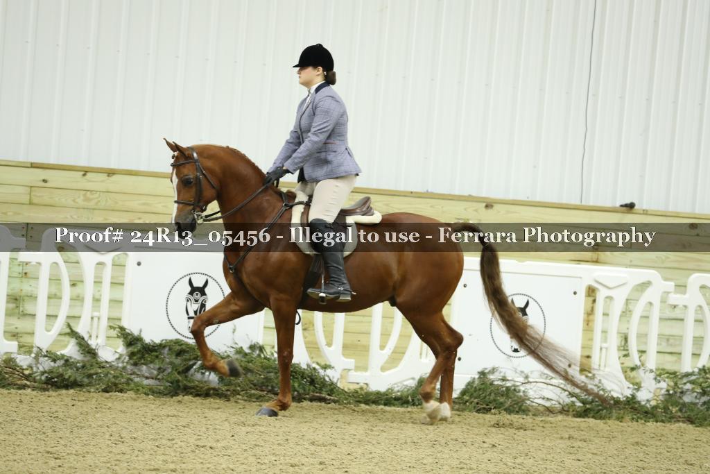 Proof Number 24R13_05456