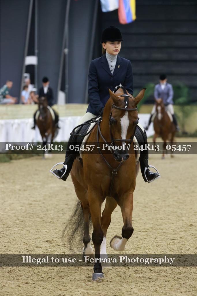 Proof Number 24R13_05457