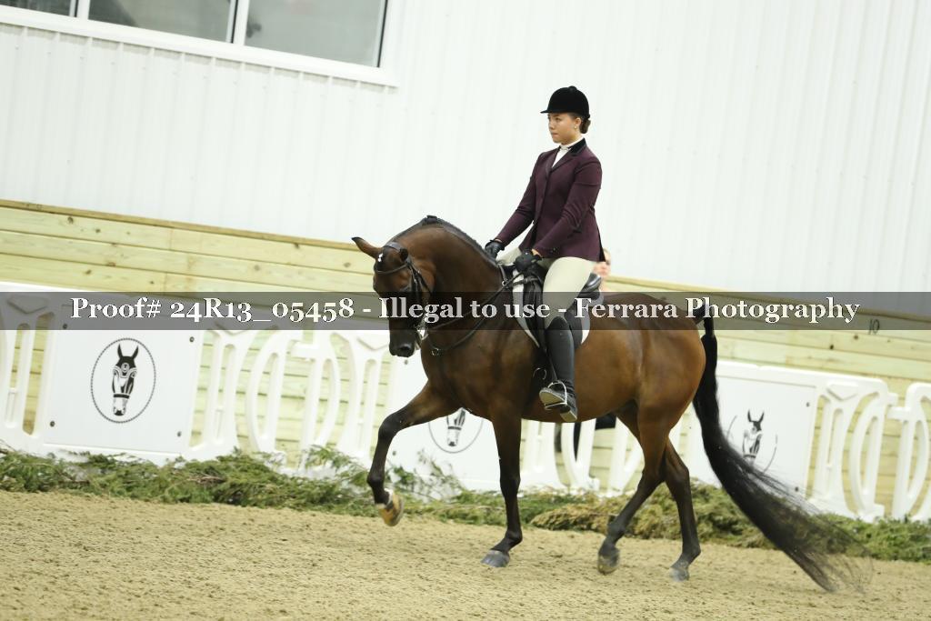 Proof Number 24R13_05458