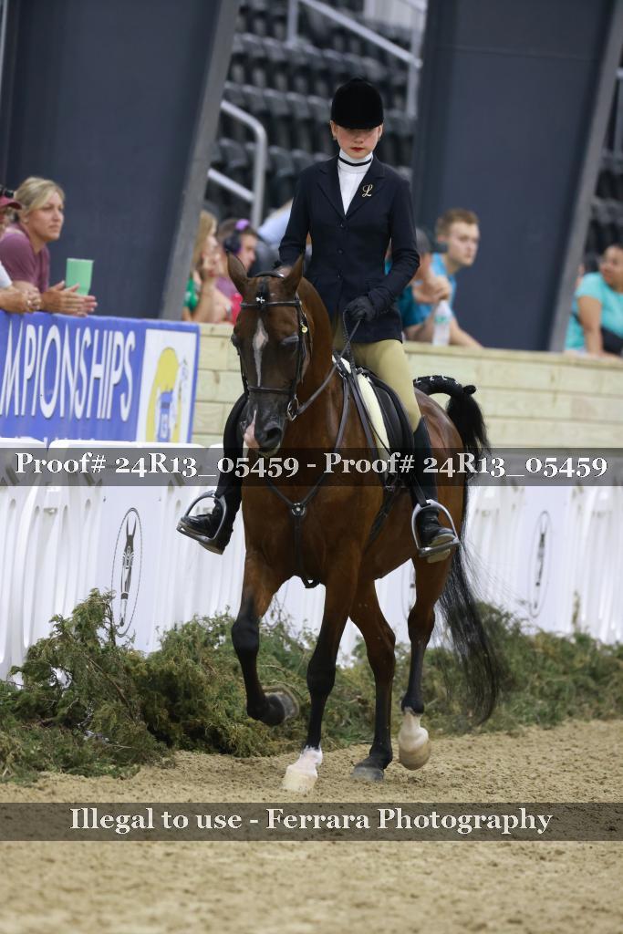 Proof Number 24R13_05459