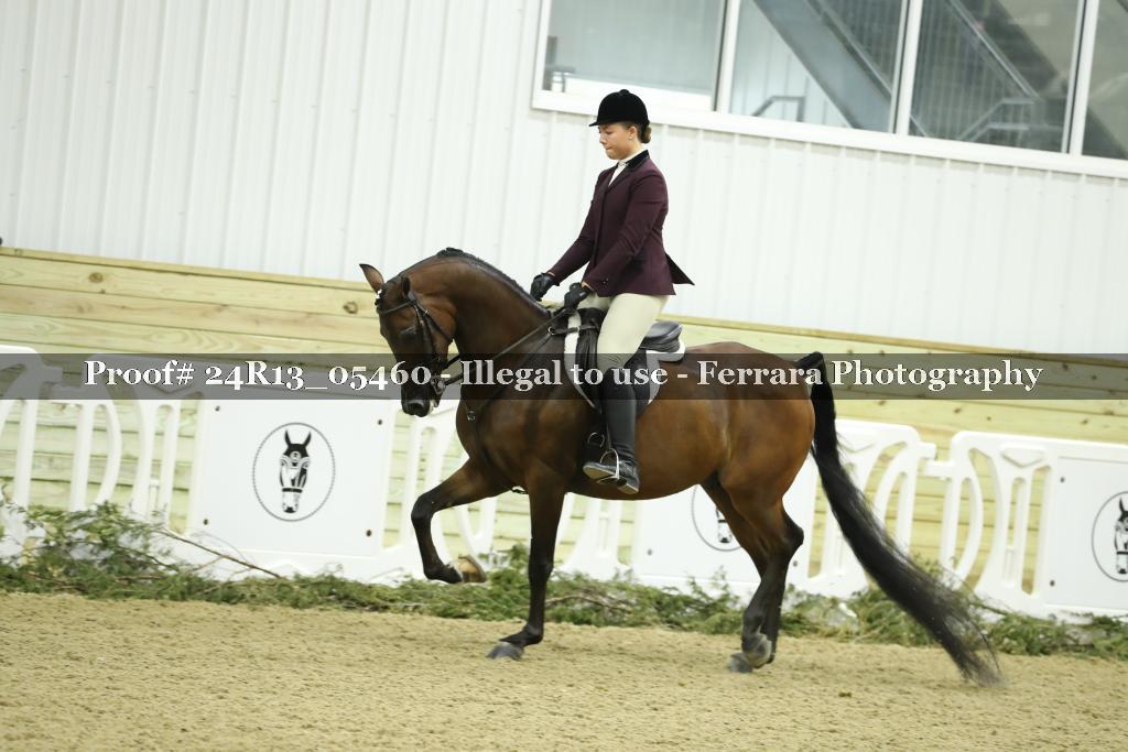 Proof Number 24R13_05460