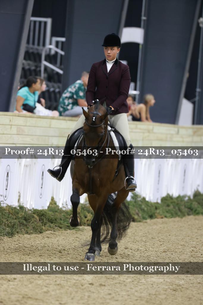 Proof Number 24R13_05463