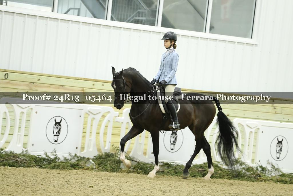 Proof Number 24R13_05464