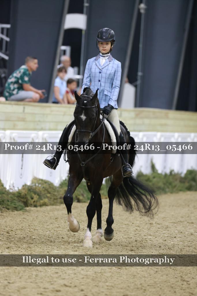 Proof Number 24R13_05466