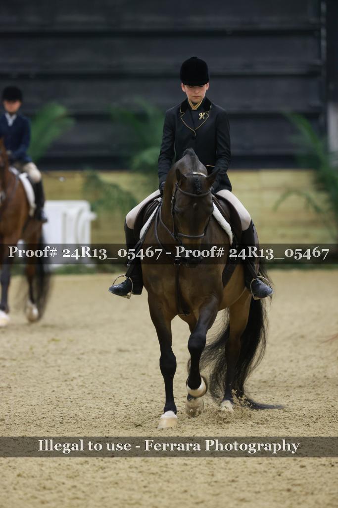 Proof Number 24R13_05467
