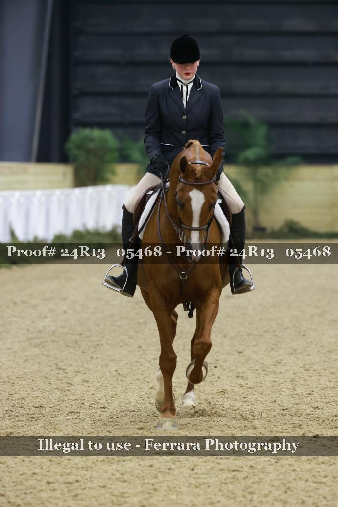 Proof Number 24R13_05468