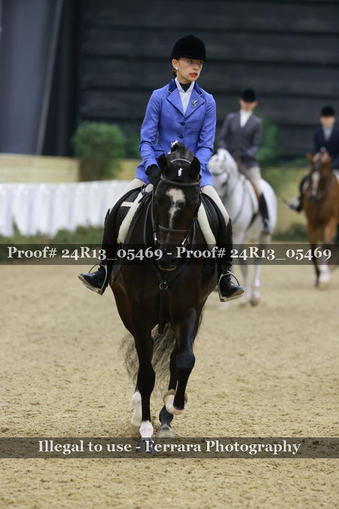 Proof Number 24R13_05469