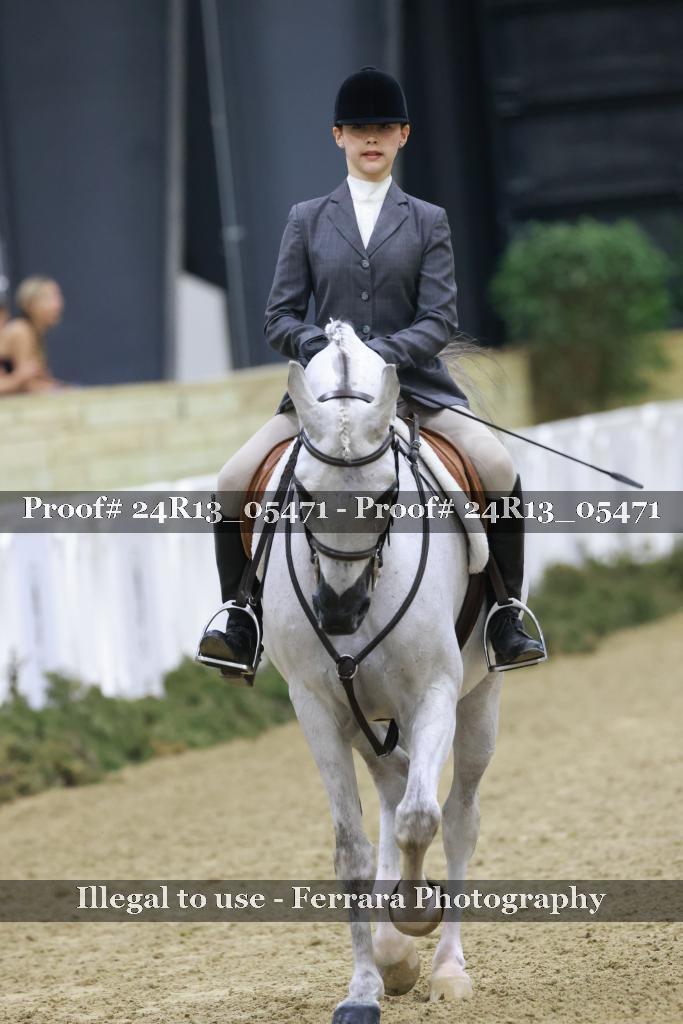 Proof Number 24R13_05471