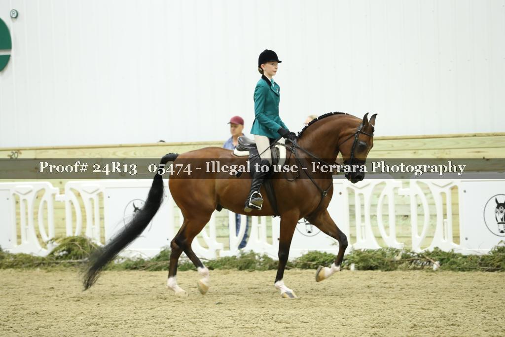 Proof Number 24R13_05474
