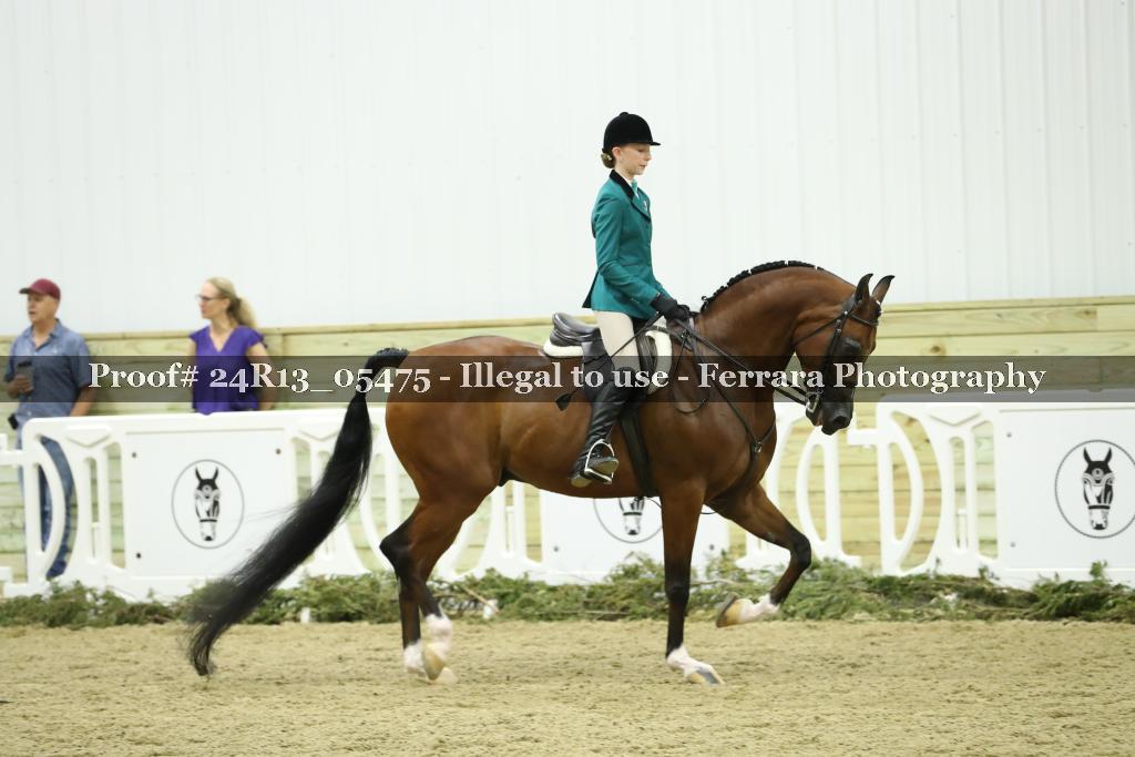 Proof Number 24R13_05475