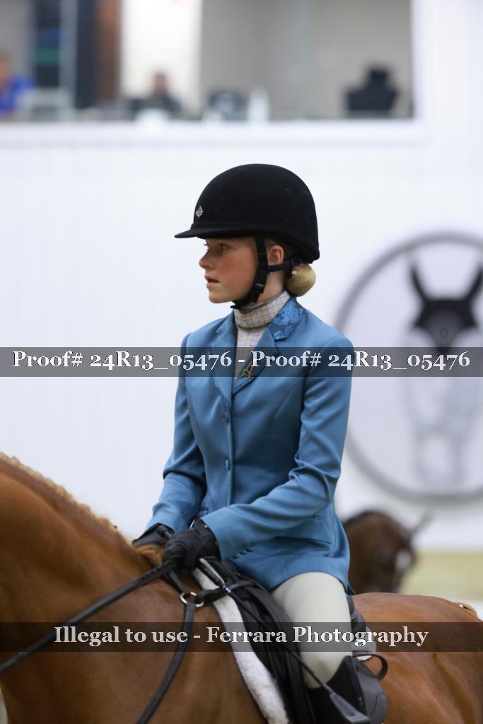 Proof Number 24R13_05476