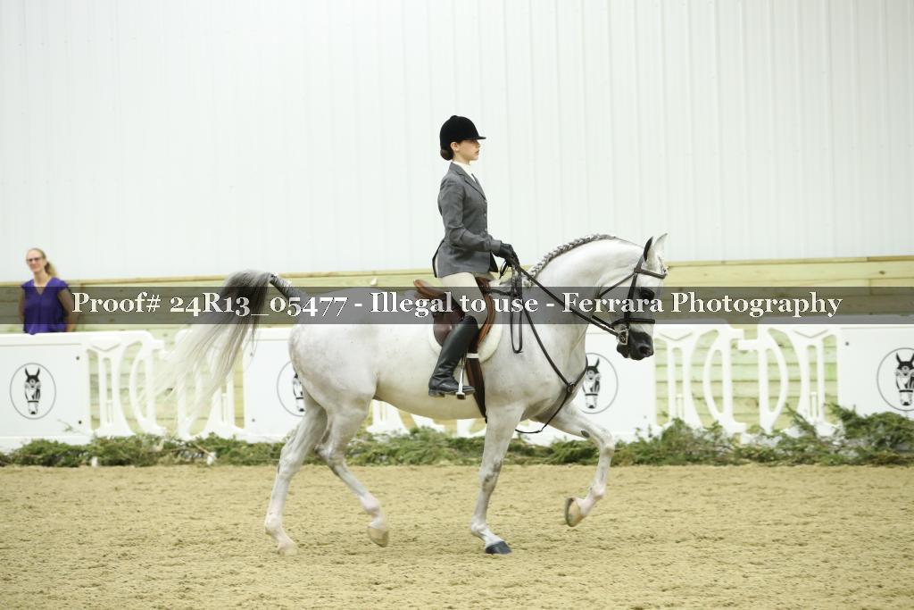 Proof Number 24R13_05477