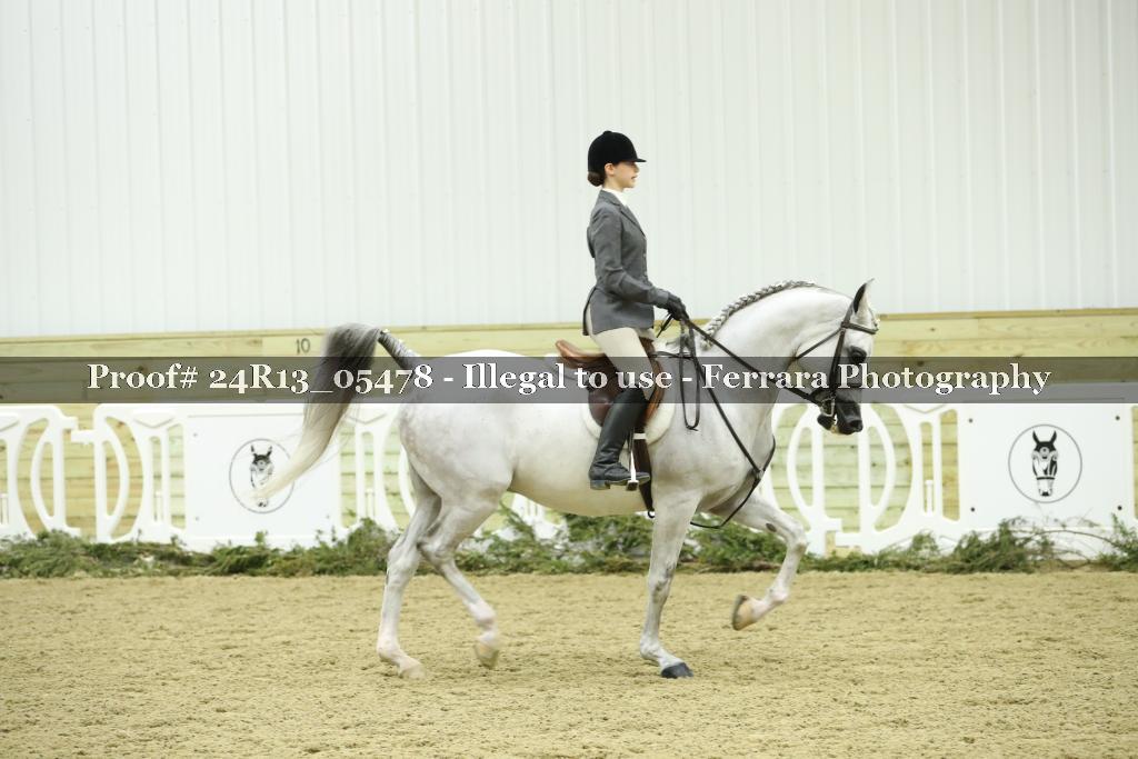 Proof Number 24R13_05478