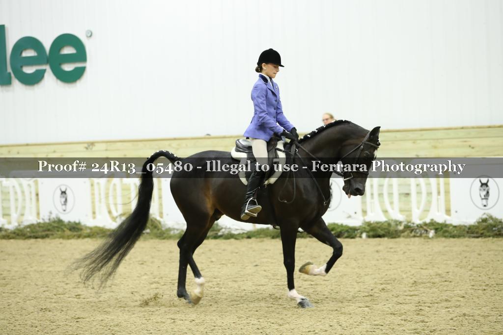 Proof Number 24R13_05480