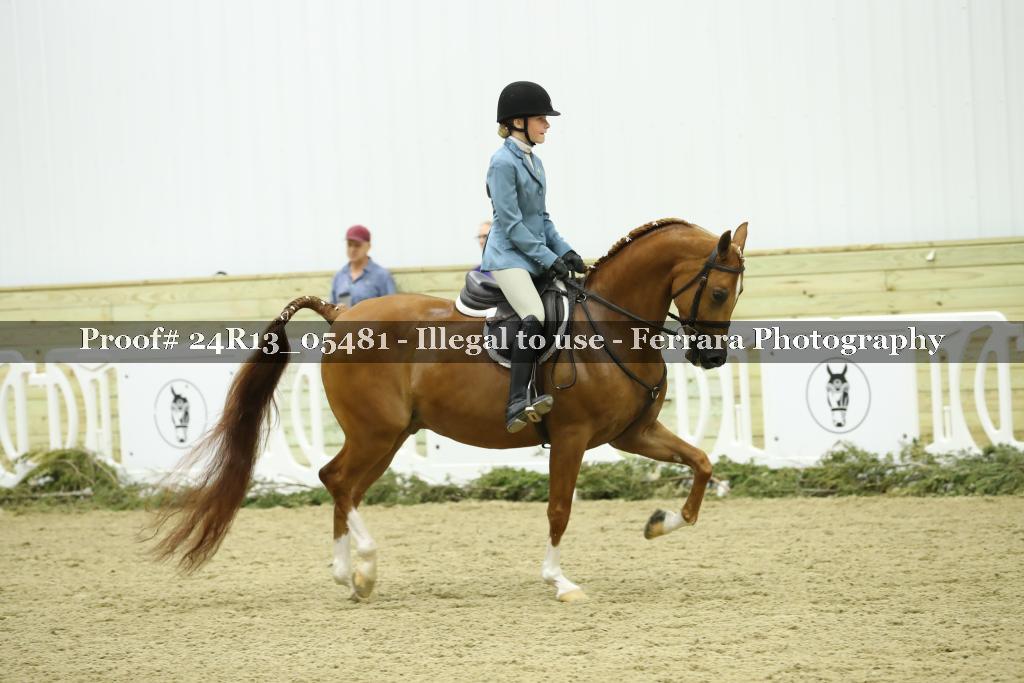 Proof Number 24R13_05481