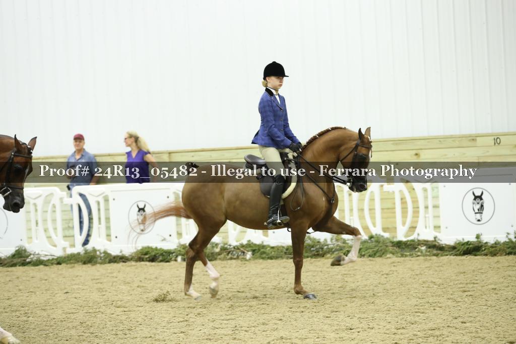 Proof Number 24R13_05482