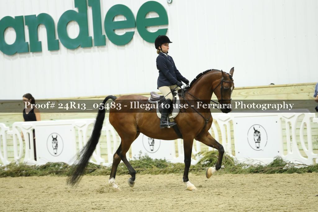 Proof Number 24R13_05483