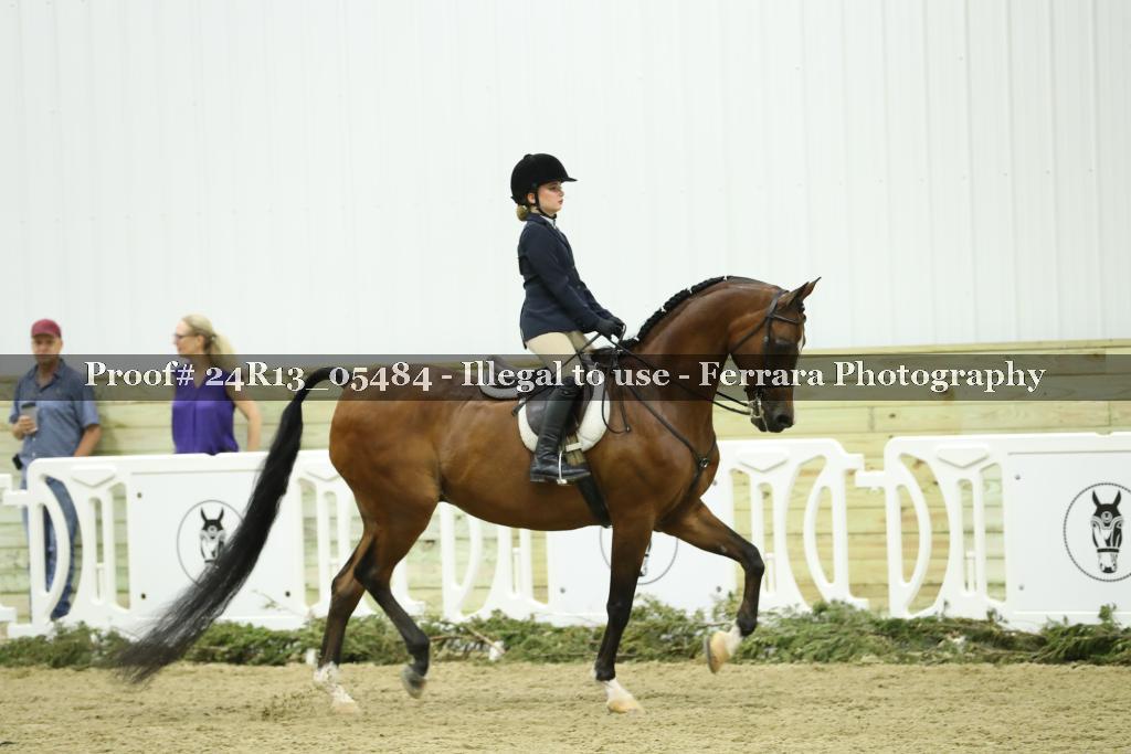 Proof Number 24R13_05484