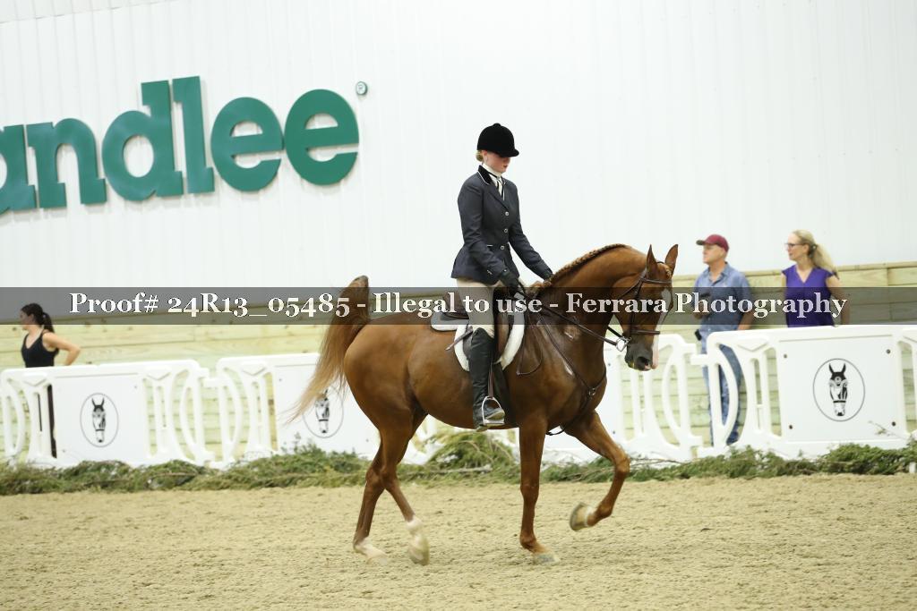 Proof Number 24R13_05485