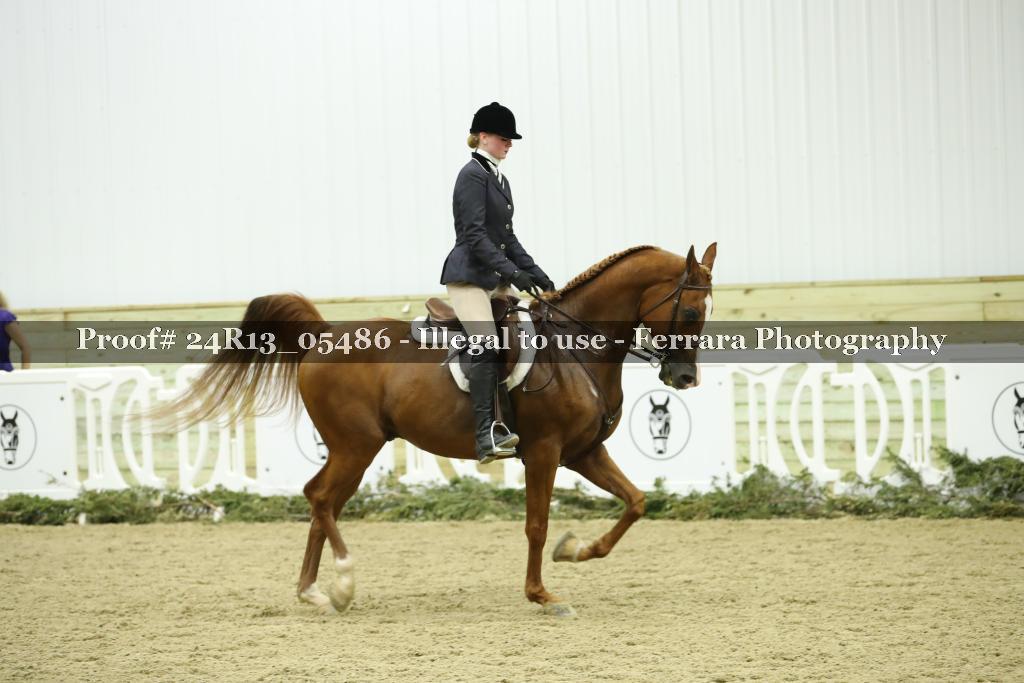 Proof Number 24R13_05486