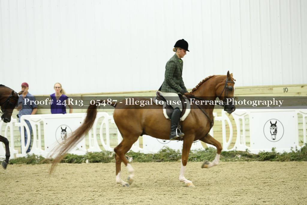 Proof Number 24R13_05487
