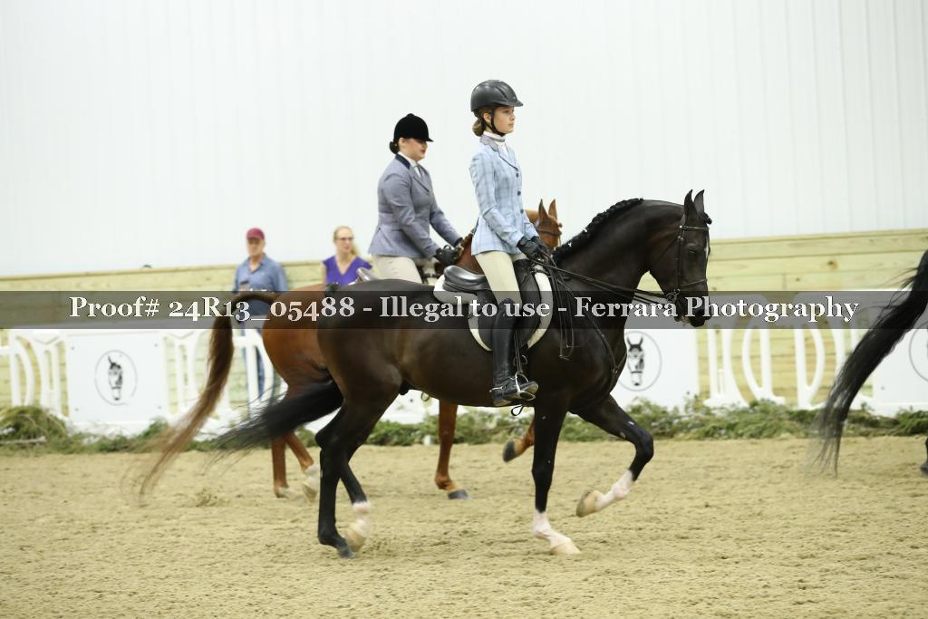 Proof Number 24R13_05488