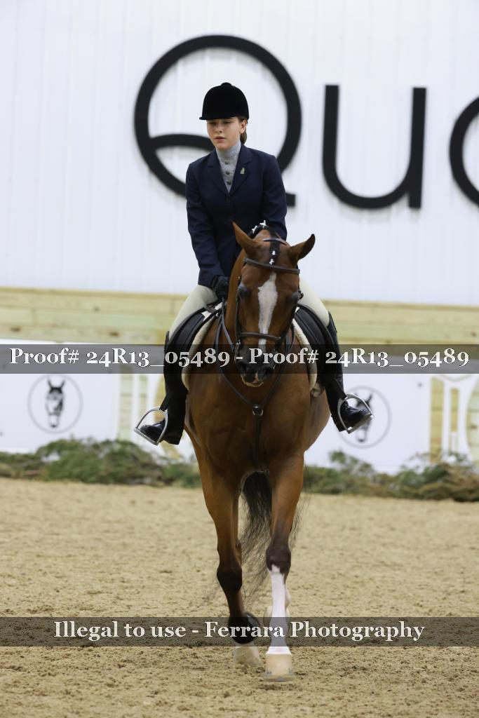 Proof Number 24R13_05489