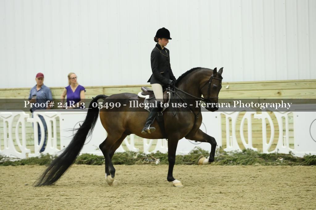 Proof Number 24R13_05490