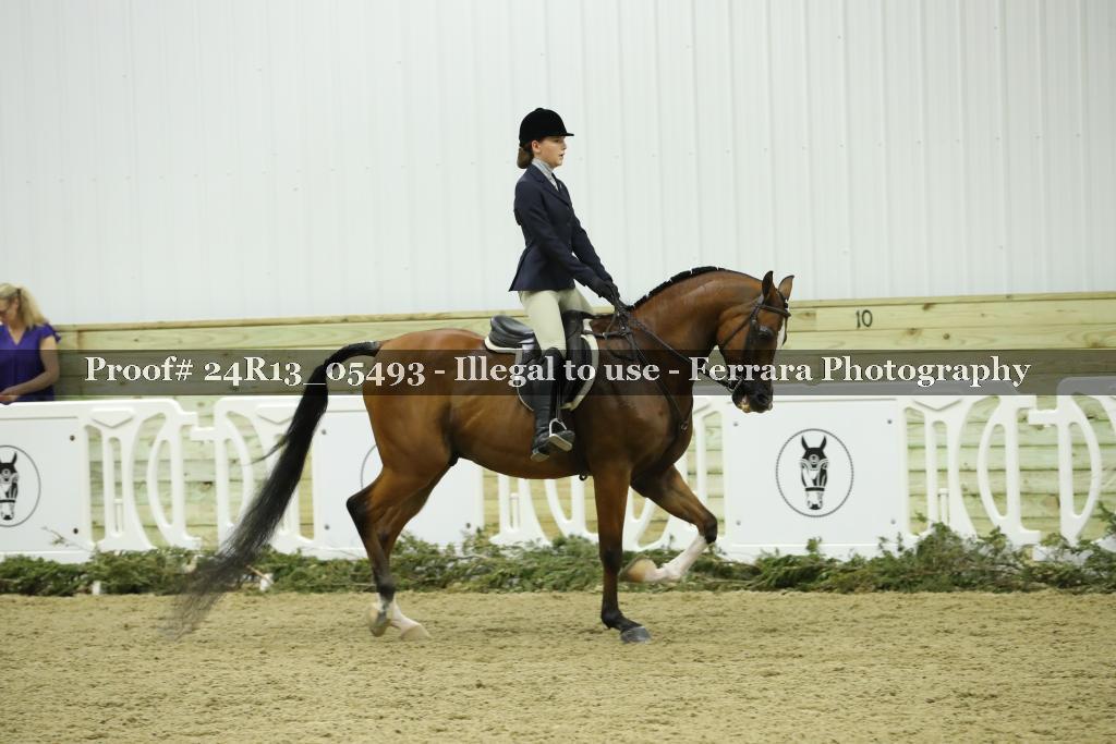 Proof Number 24R13_05493