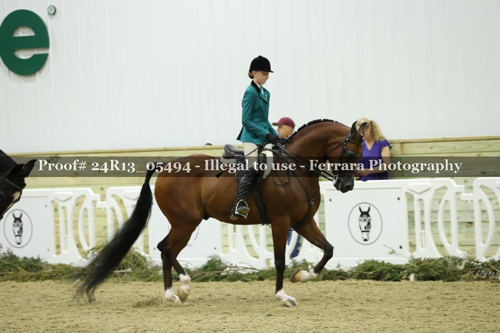 Proof Number 24R13_05494