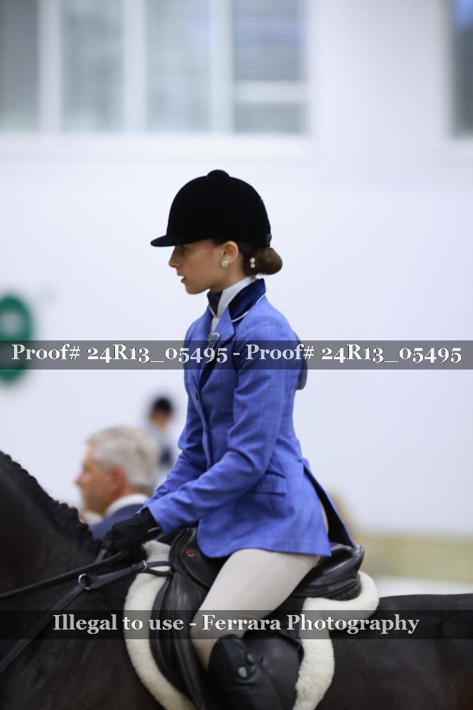 Proof Number 24R13_05495