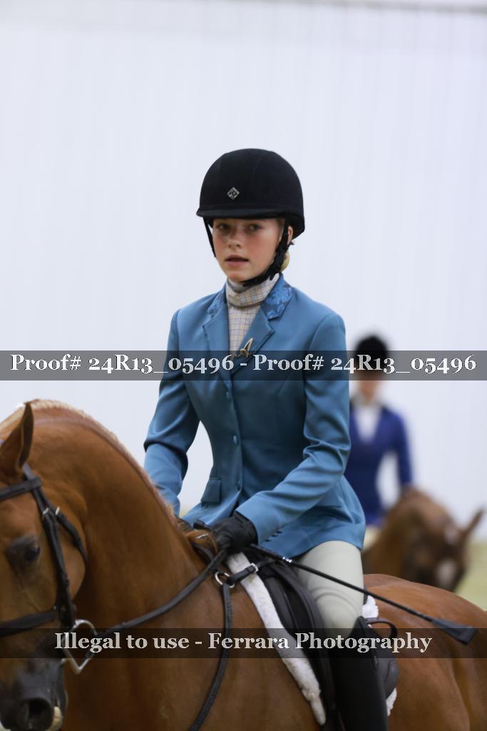 Proof Number 24R13_05496