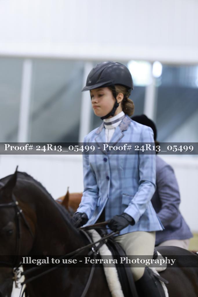 Proof Number 24R13_05499