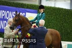 24R13_05515 thumbnail