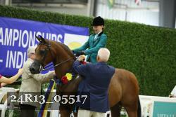 24R13_05517 thumbnail