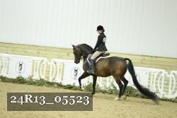24R13_05523 thumbnail