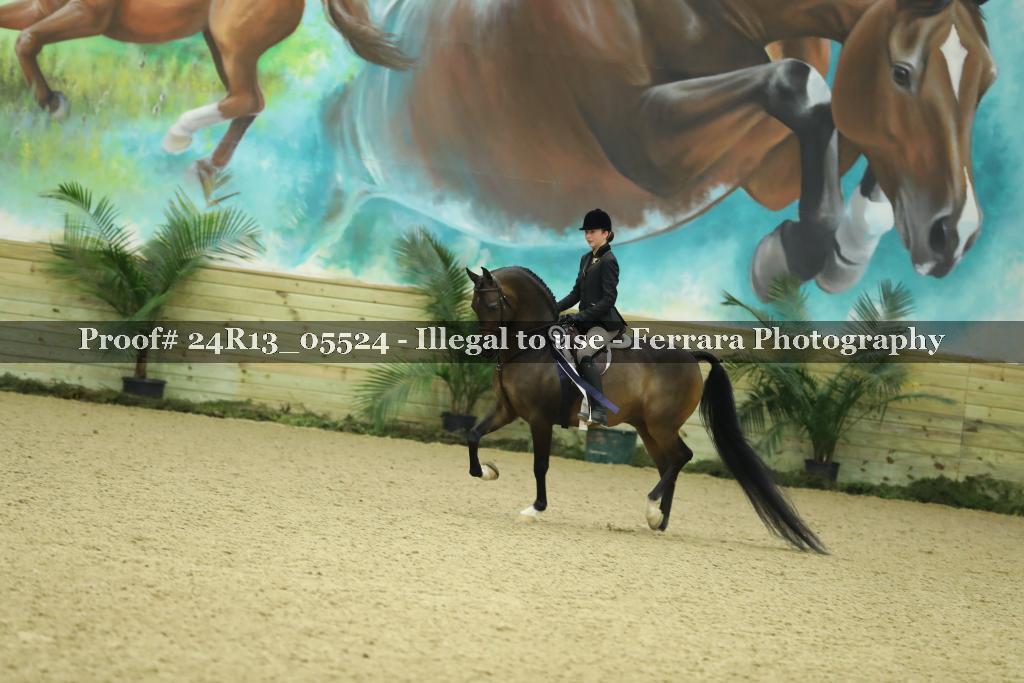 Proof Number 24R13_05524