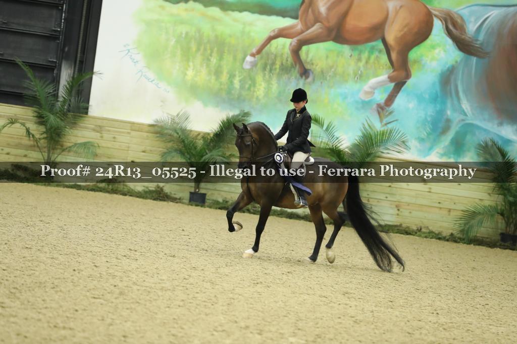 Proof Number 24R13_05525