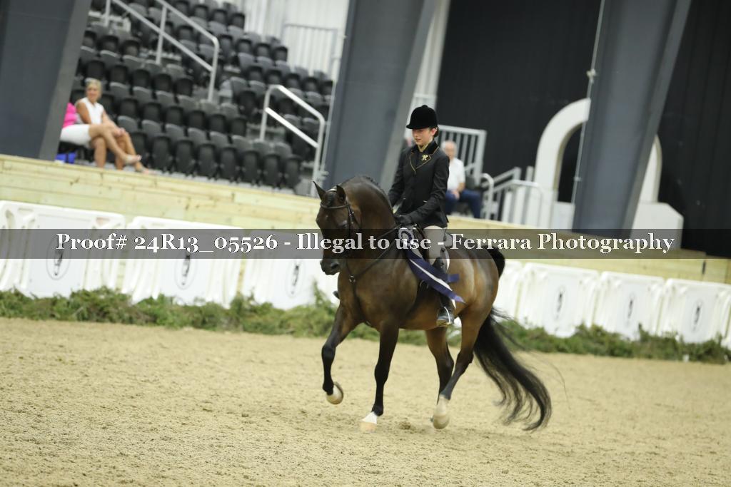 Proof Number 24R13_05526