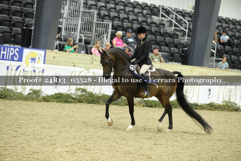 Proof Number 24R13_05528