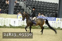 24R13_05530 thumbnail