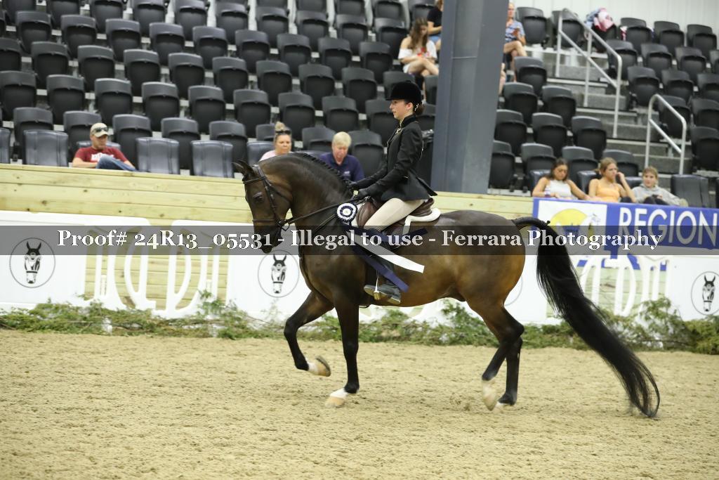 Proof Number 24R13_05531