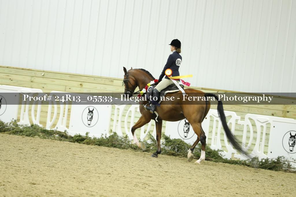 Proof Number 24R13_05533